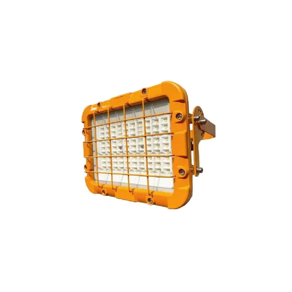 Proyector Antiexplosivo LED 100W Modelo Dianthus