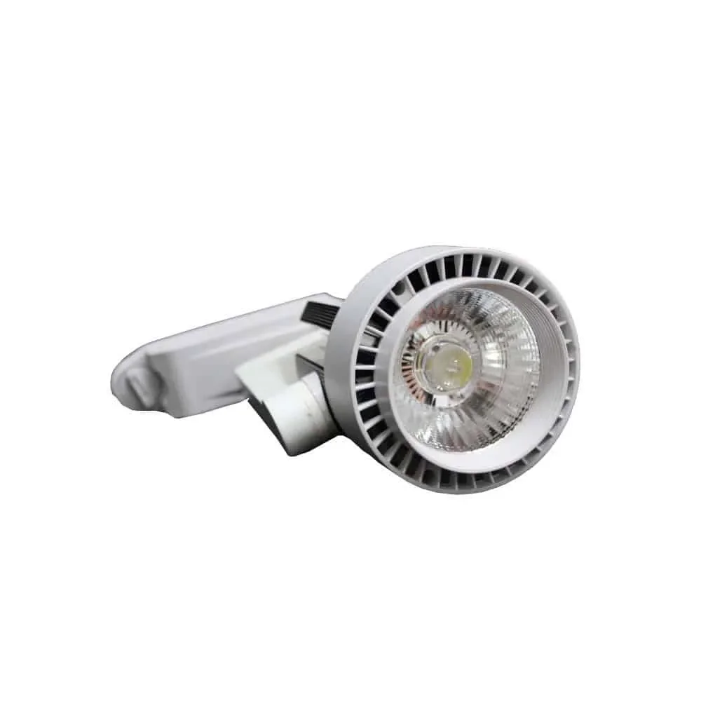 Foco Riel 30W Neutro
